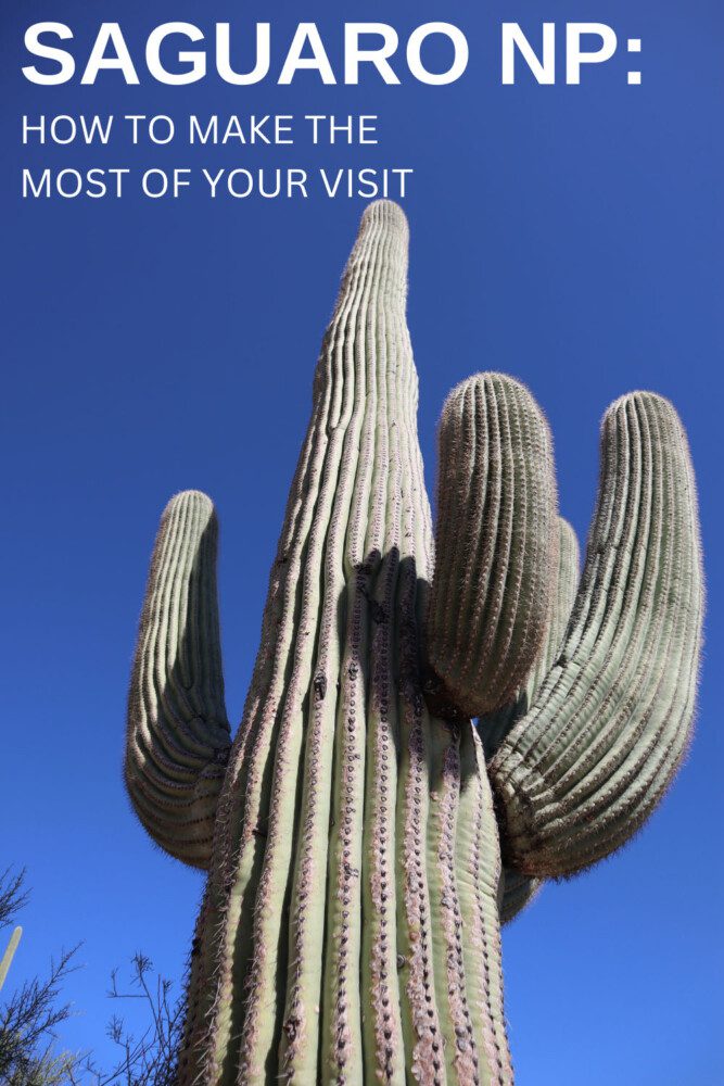 Saguaro National Park Travel Guide - pin