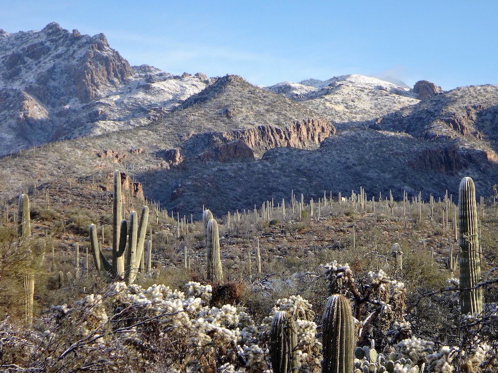 Tucson desert snow by Erik Wilde