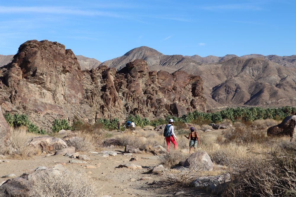 Andreas Canyon - Indians Canyons - Palm Springs