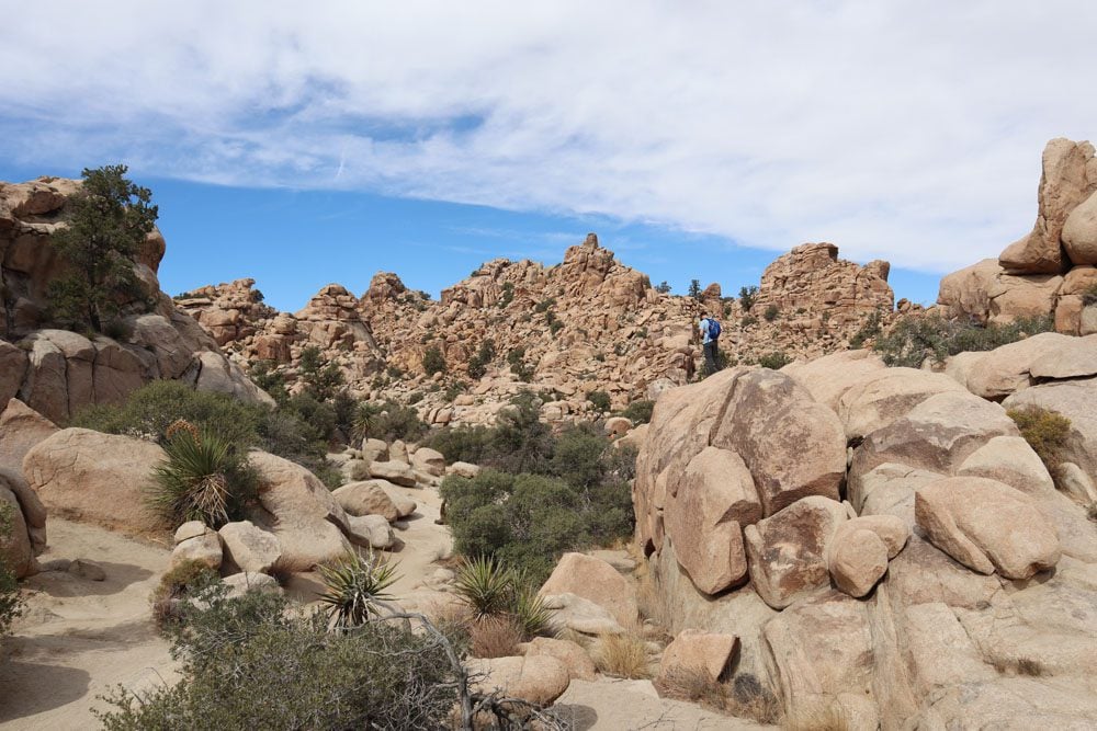 Hiker on Hidden Valley Nature Trail - Joshua Tree National Park california