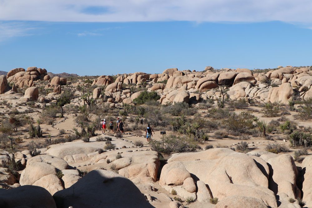 Hikers on Arch Rock Trail - Joshua Tree National Park california hike