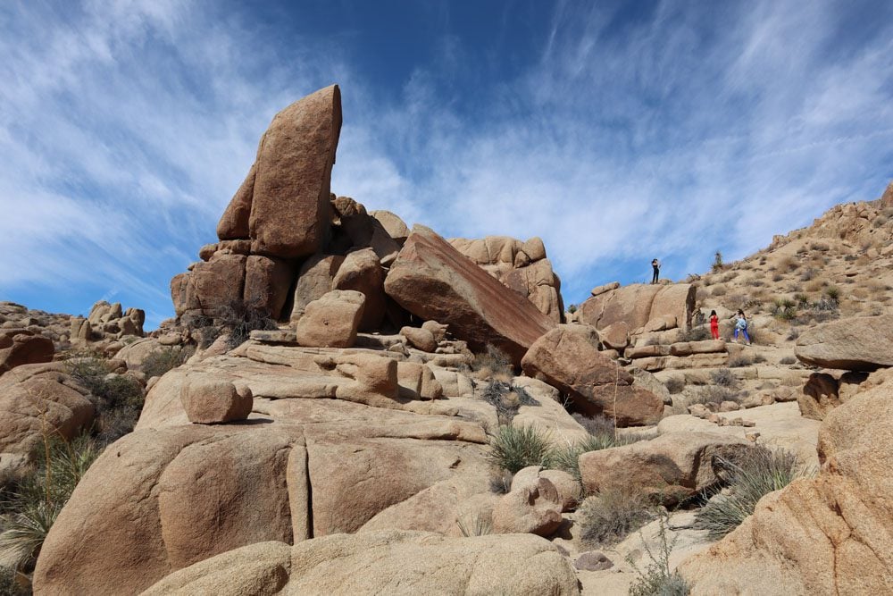 Mastodon Peak Trail - Joshua Tree National Park california hike