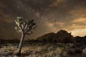 Night sky in Joshua Tree National Park NPS:Brad Sutton
