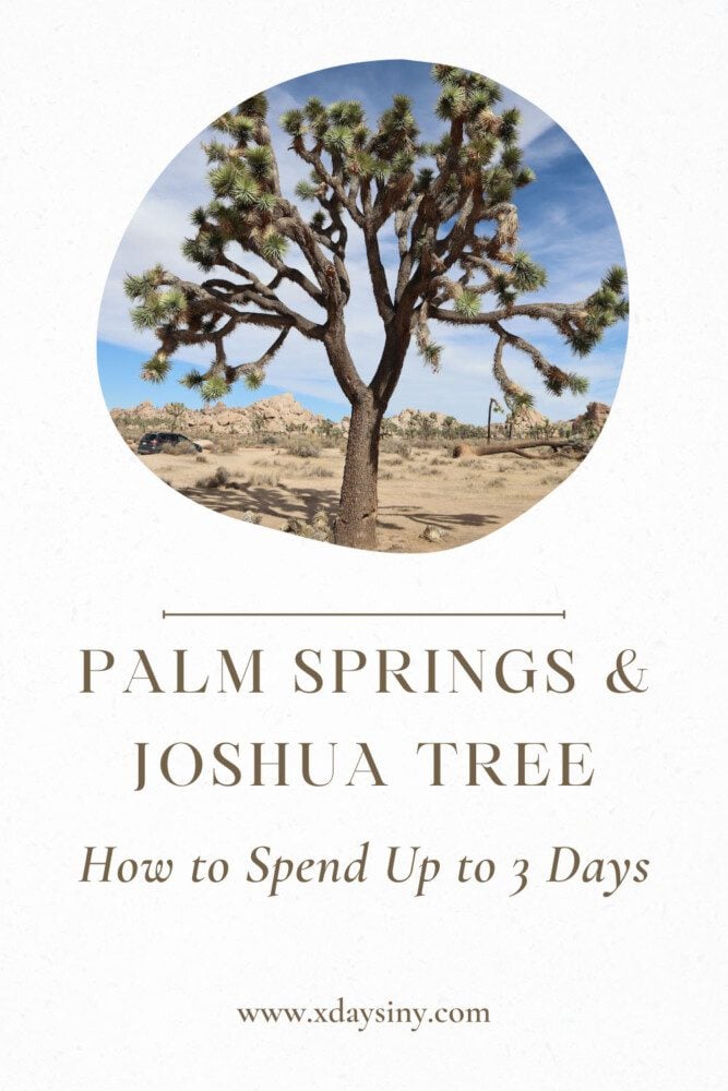 Palm Springs & Joshua Tree Itinerary - pin
