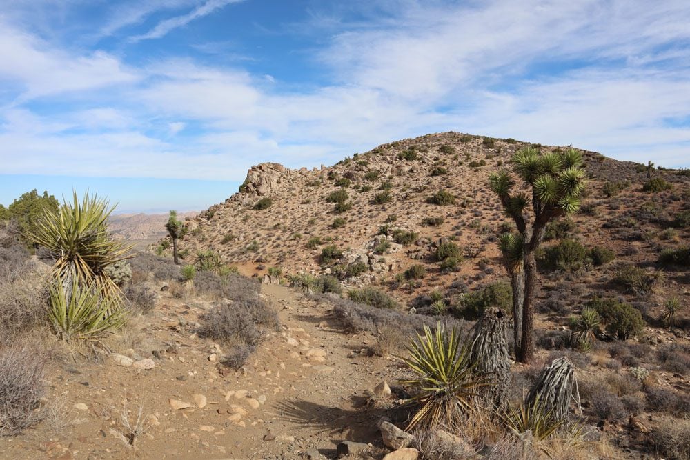 Joshua Tree National Park california