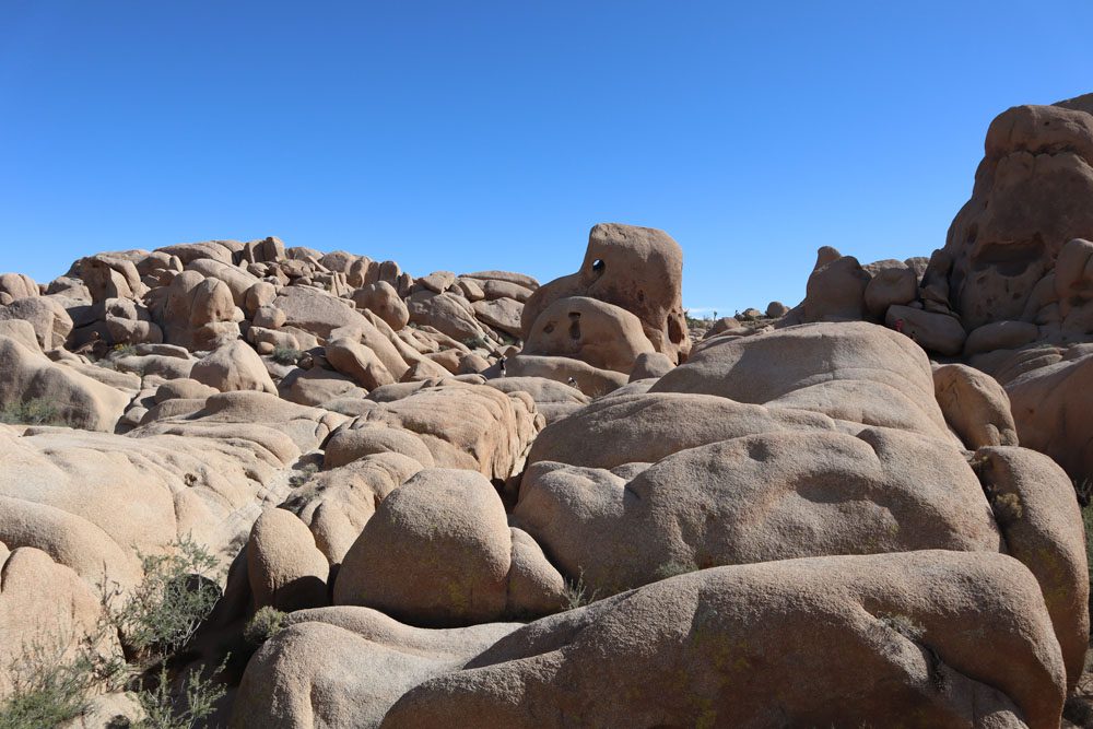 Smooth granite boulders near Skull Rock -Joshua Tree National Park california