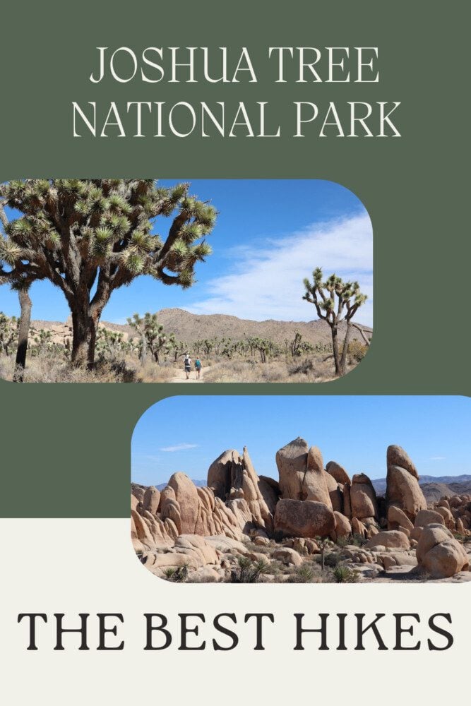 The Best Hikes In Joshua Tree National Park - pin 2
