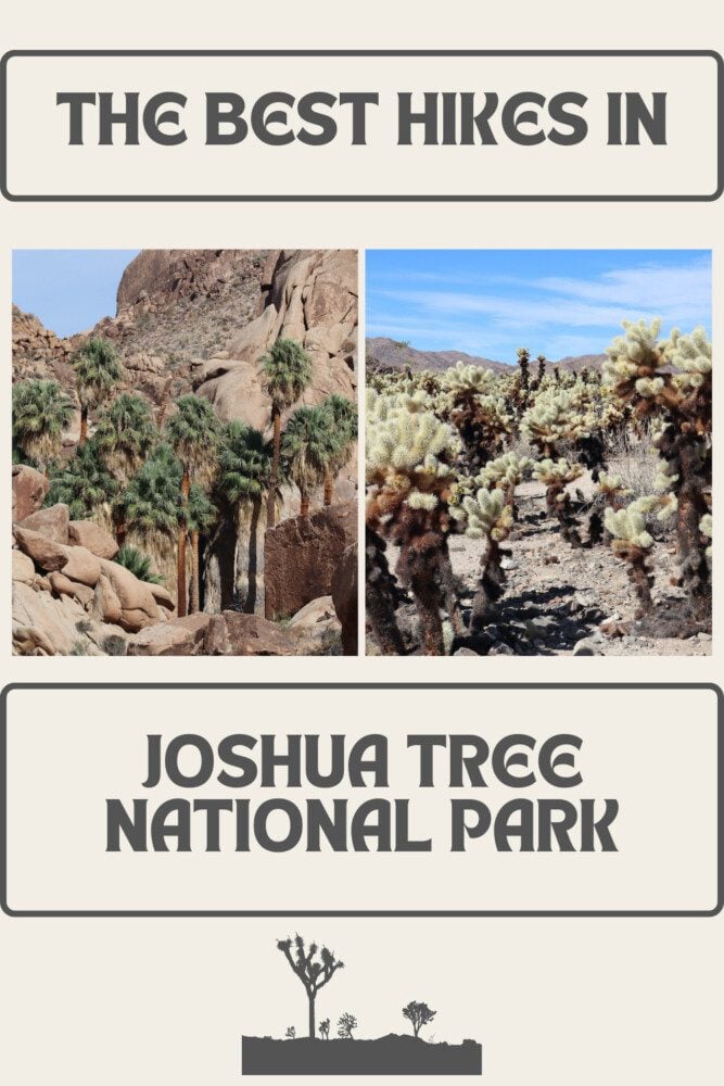 The Best Hikes In Joshua Tree National Park - pin
