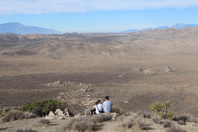 The Best Hikes In Joshua Tree National Park
