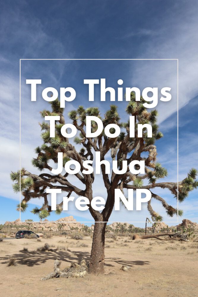 Top Things To Do In Joshua Tree National Park - pin