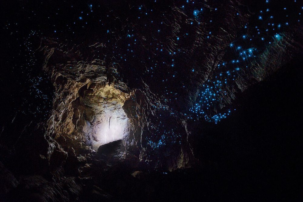 Waitomo Glowworm Cave New Zealand by Манько Марко