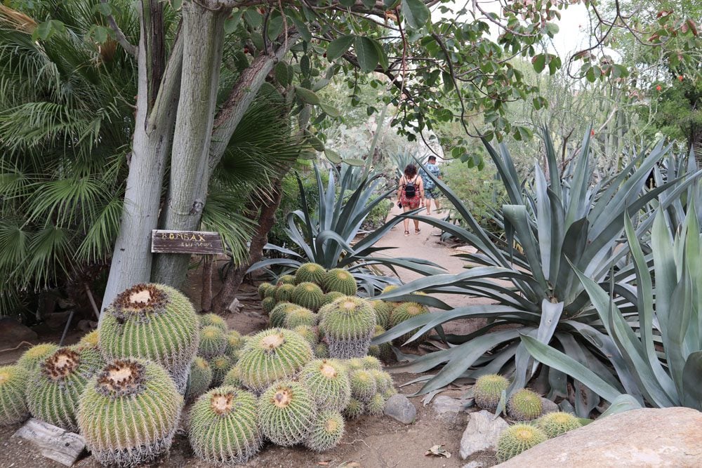 Walking trail in Moorten Botanical Garden - Palm Springs
