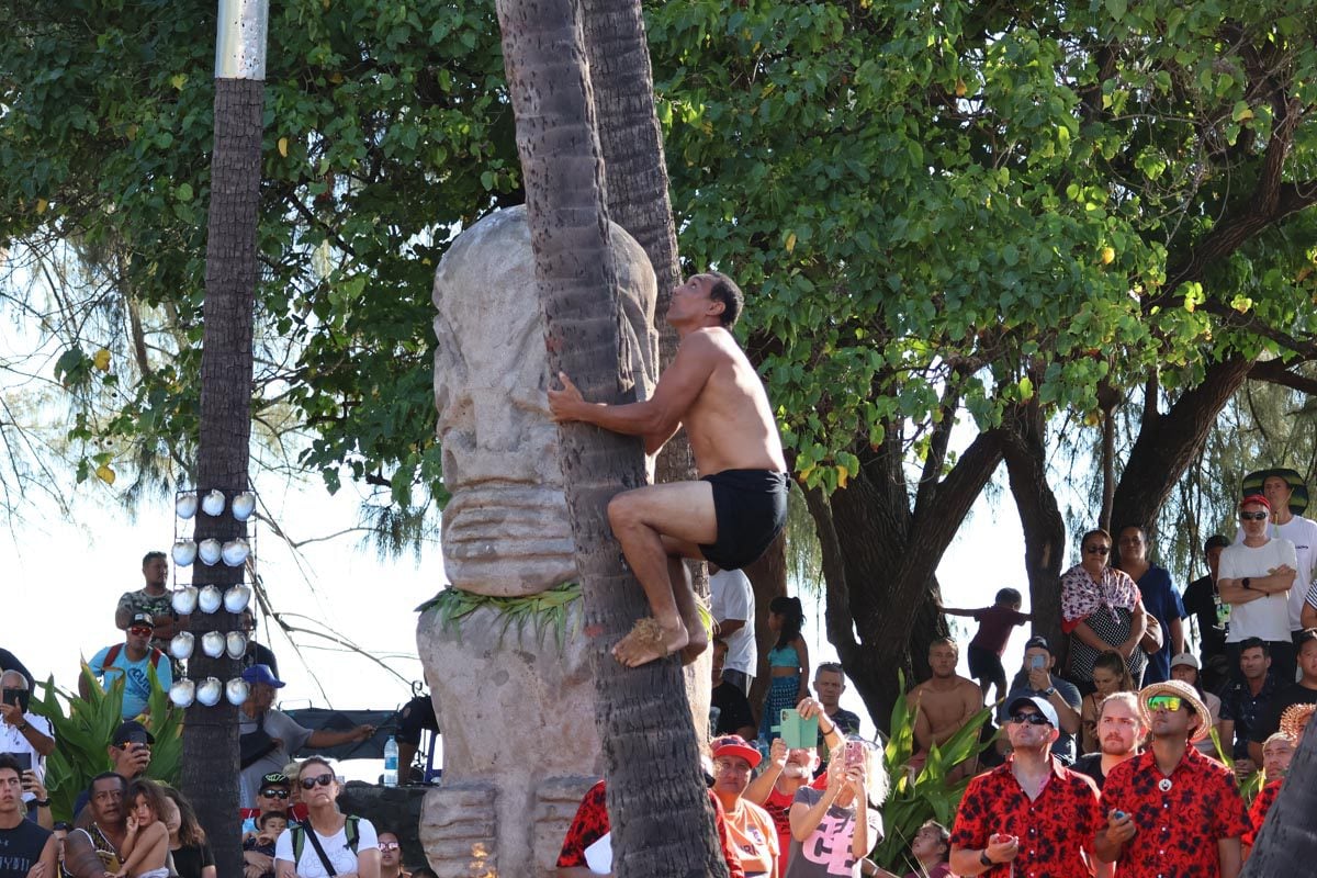 Coconut Tree Climbing competition - Heiva Festival Tahiti 