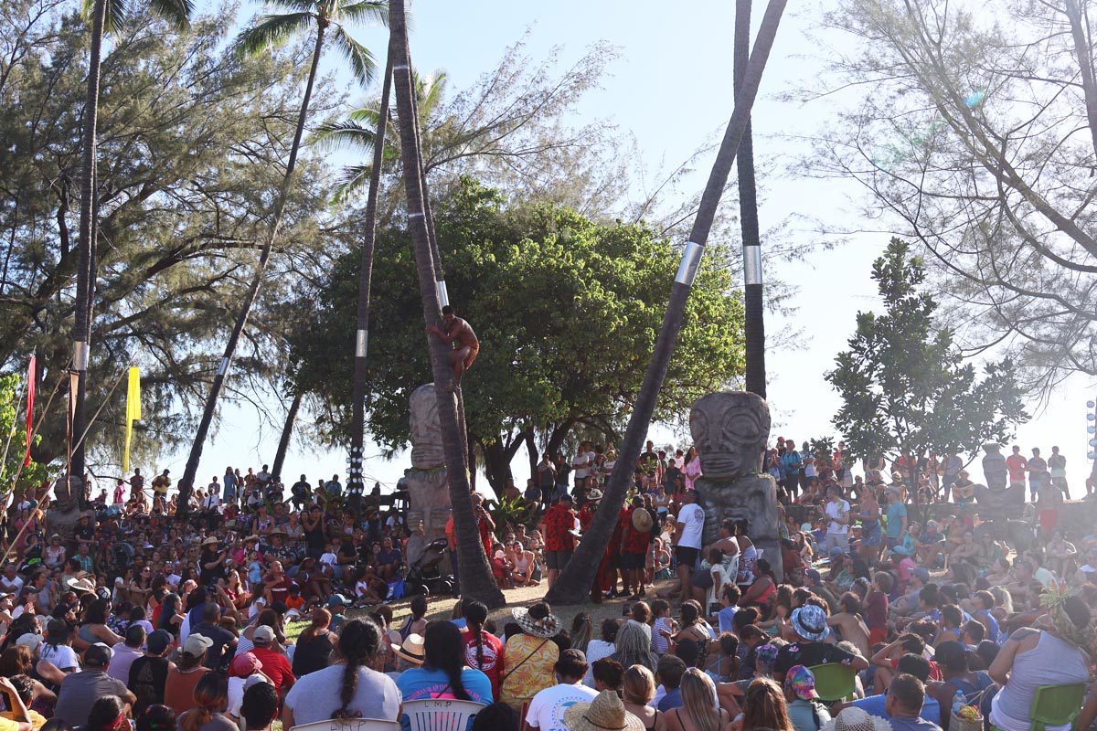 Coconut Tree Climbing competition - Heiva Festival Tahiti