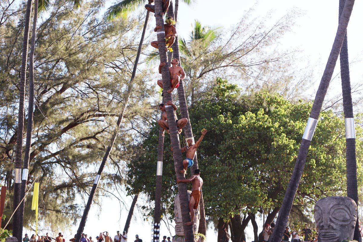 Coconut Tree Climbing competition - Heiva Festival Tahiti 