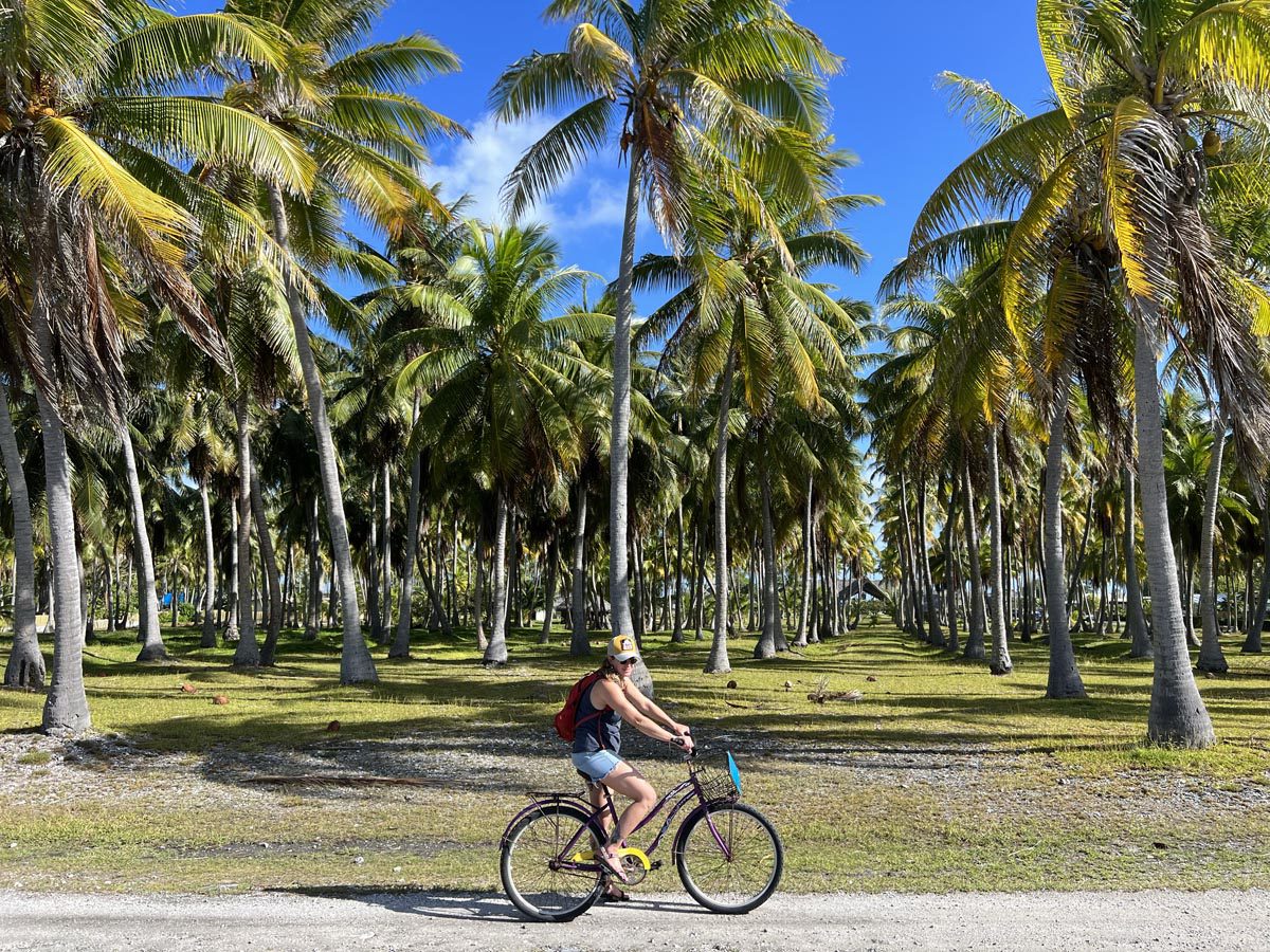 Coconut grove in Rangiroa