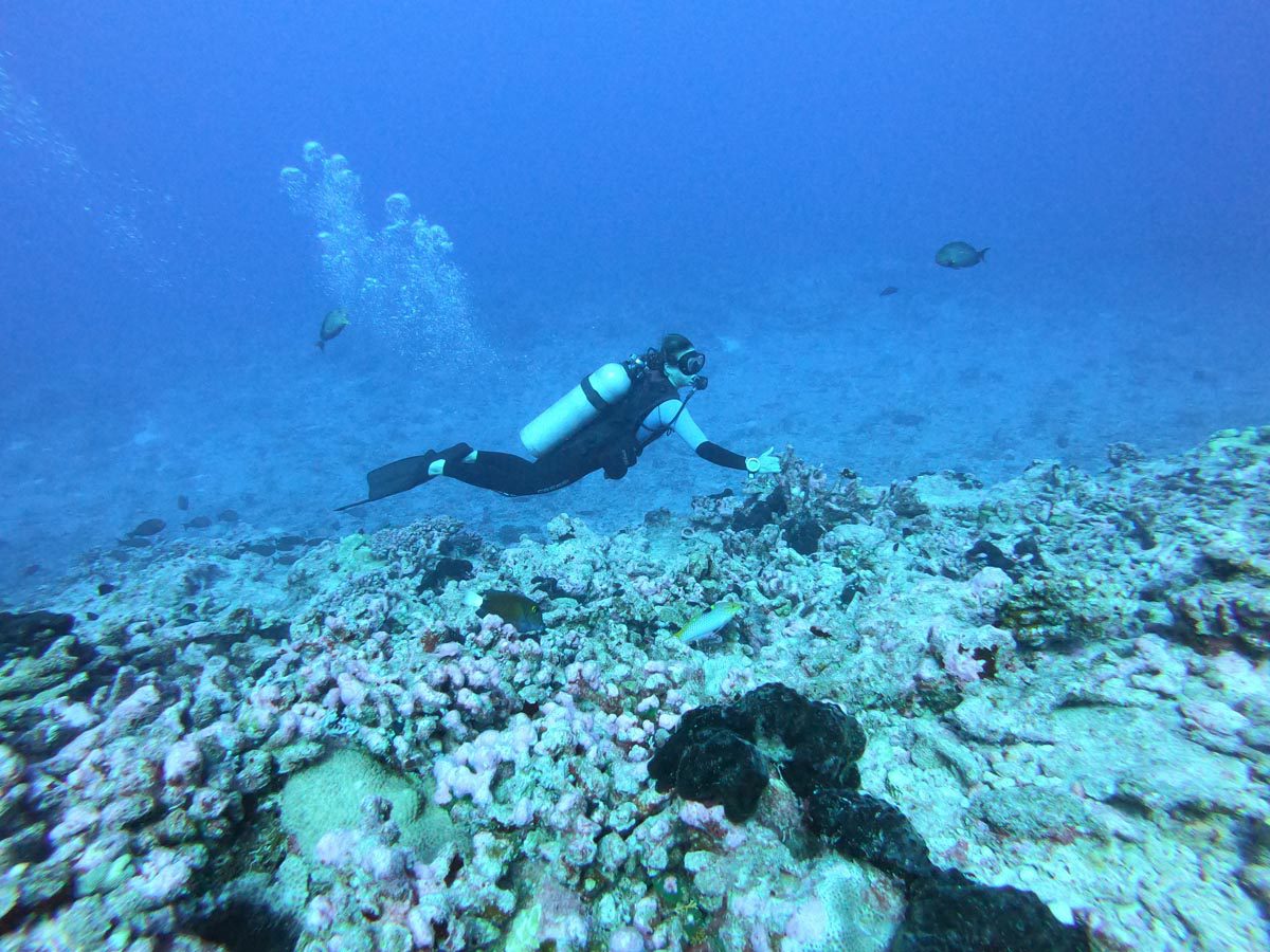 Diving-in-Fakarava-North-French-Polyensia-strong-current