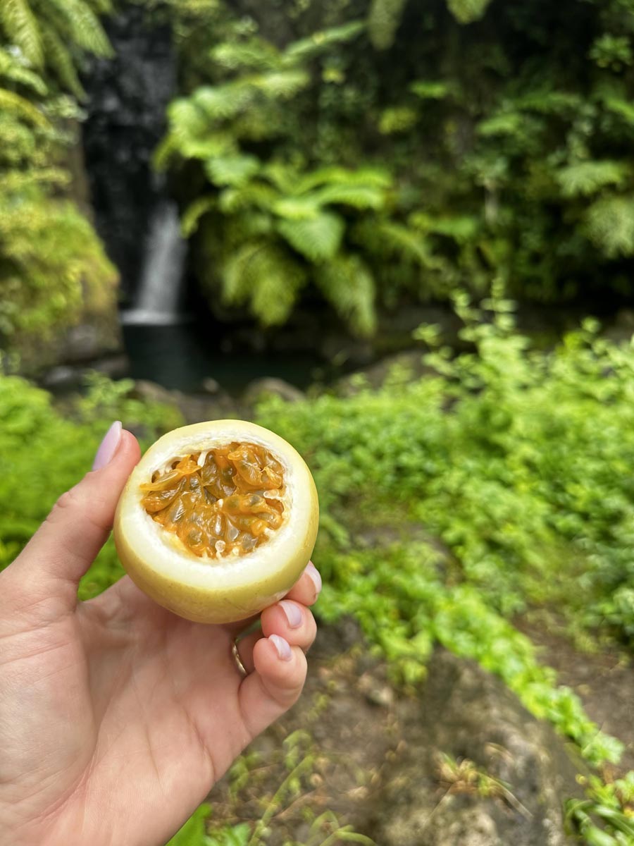 Faraura Valley Hike Tahiti - passion fruit