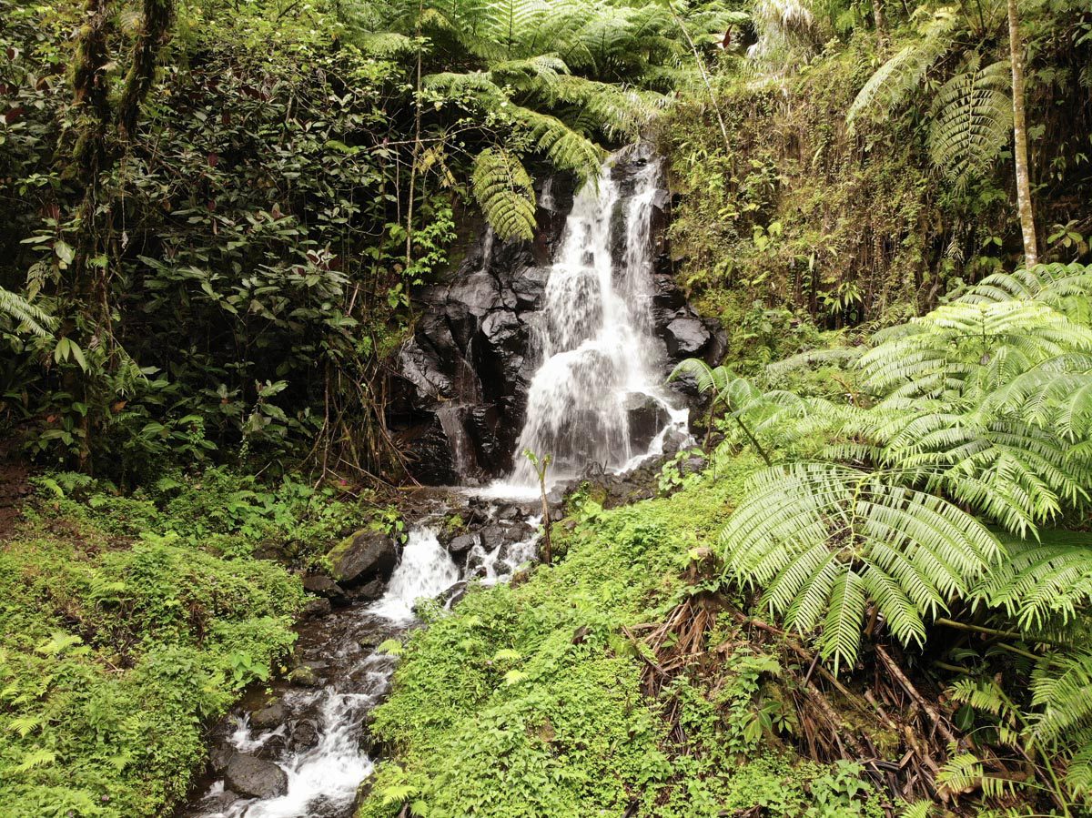 Faraura-Valley-Hike-Tahiti-small-waterfall