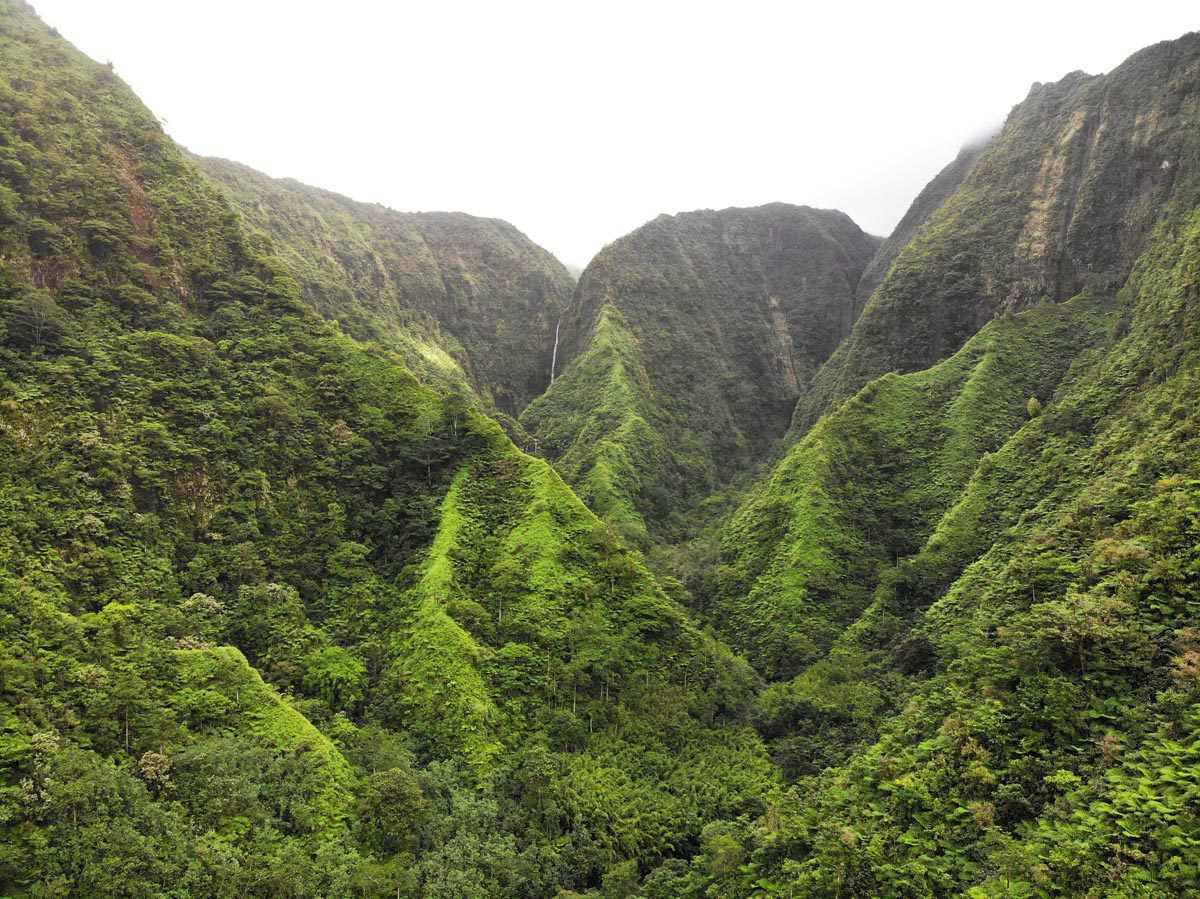 Faraura-Valley-Tahiti