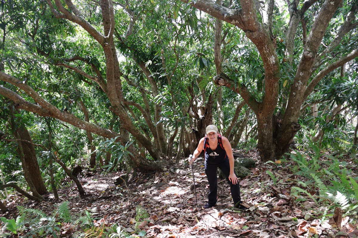 Hiking Mount Teurafaatiu - Maupiti - Ella in rainforest