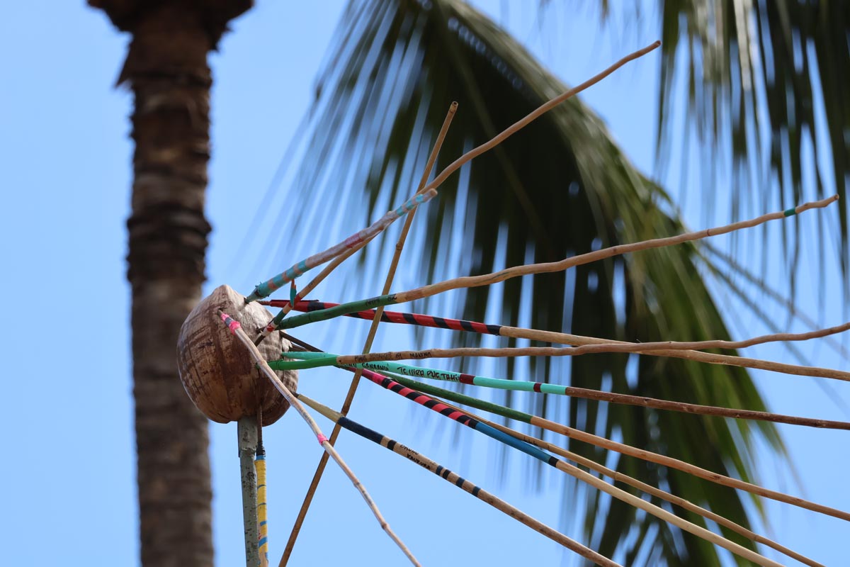 Javelin spear throwing - Heiva Festival - Tahiti - target coconut