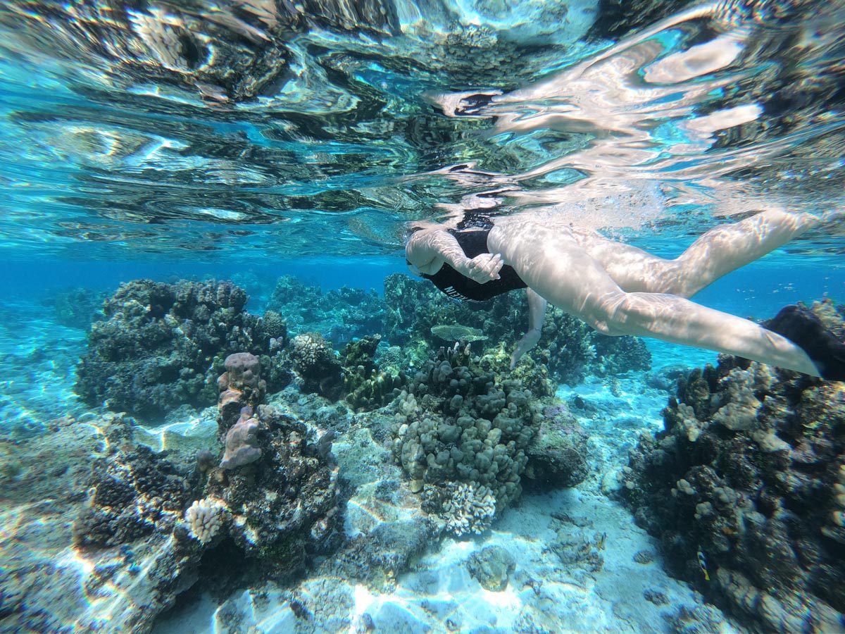 Maupiti-lagoon-tour-snorkeling