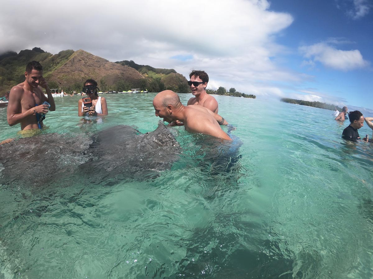 Moorea-jet-ski-tour-kissing-stingray