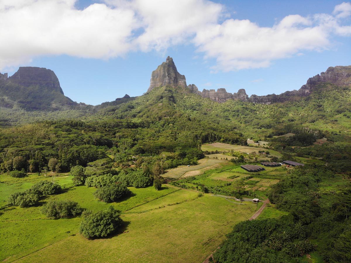 Opunohu-Valley-Moorea-Sharp-Peak