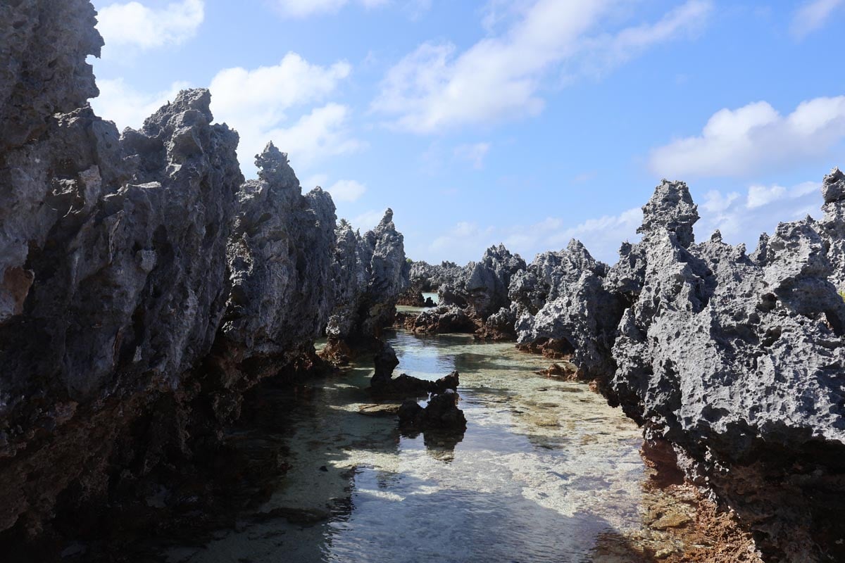 Reef Island - Rangiroa - French Polynesia - raised sharp coral