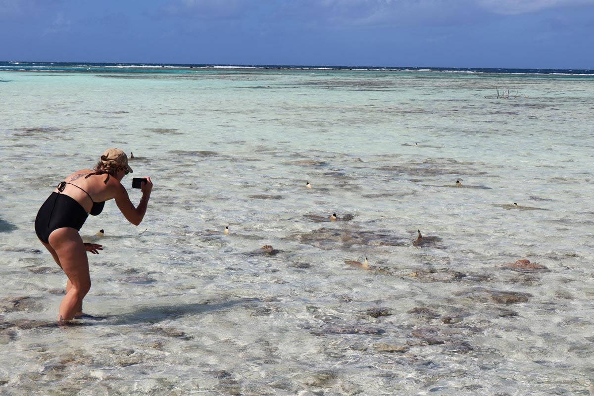 The Blue Lagoon Rangiroa - taking photo sharks