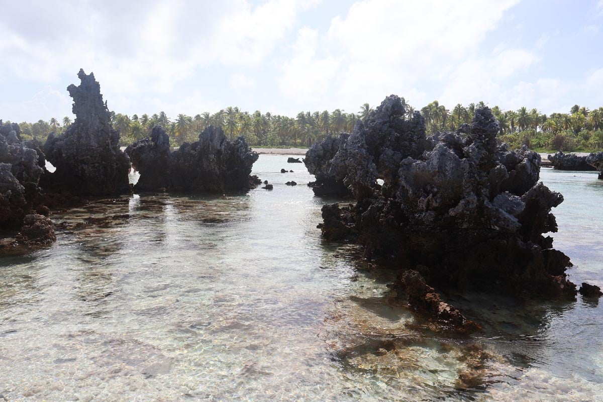 אי האלמוגים - רנגירואה - פולינזיה הצרפתית - אלמוגים מוגבהים 2