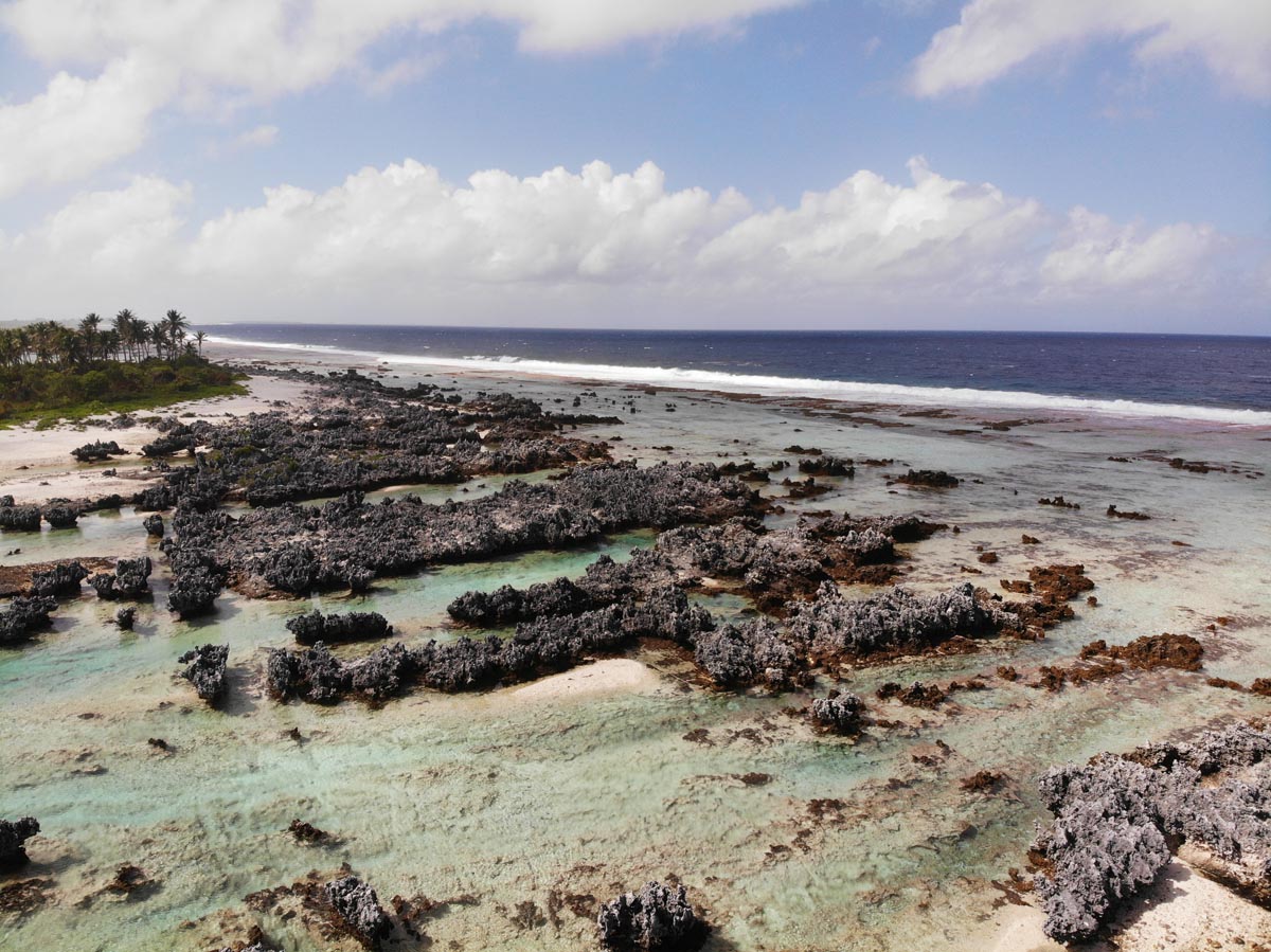 אי האלמוגים - רנגירואה - פולינזיה הצרפתית - אלמוגים מוגבהים 3