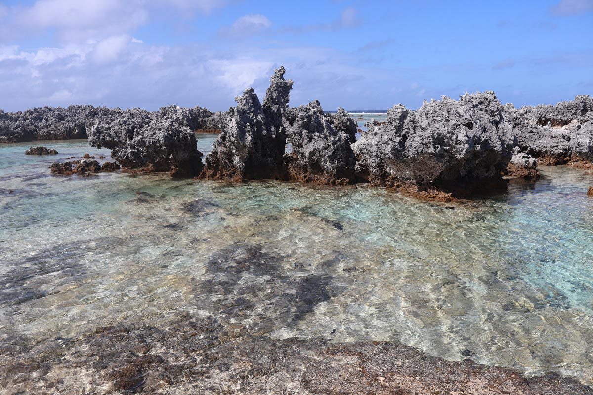 אי האלמוגים - רנגירואה - פולינזיה הצרפתית - אלמוגים מוגבהים