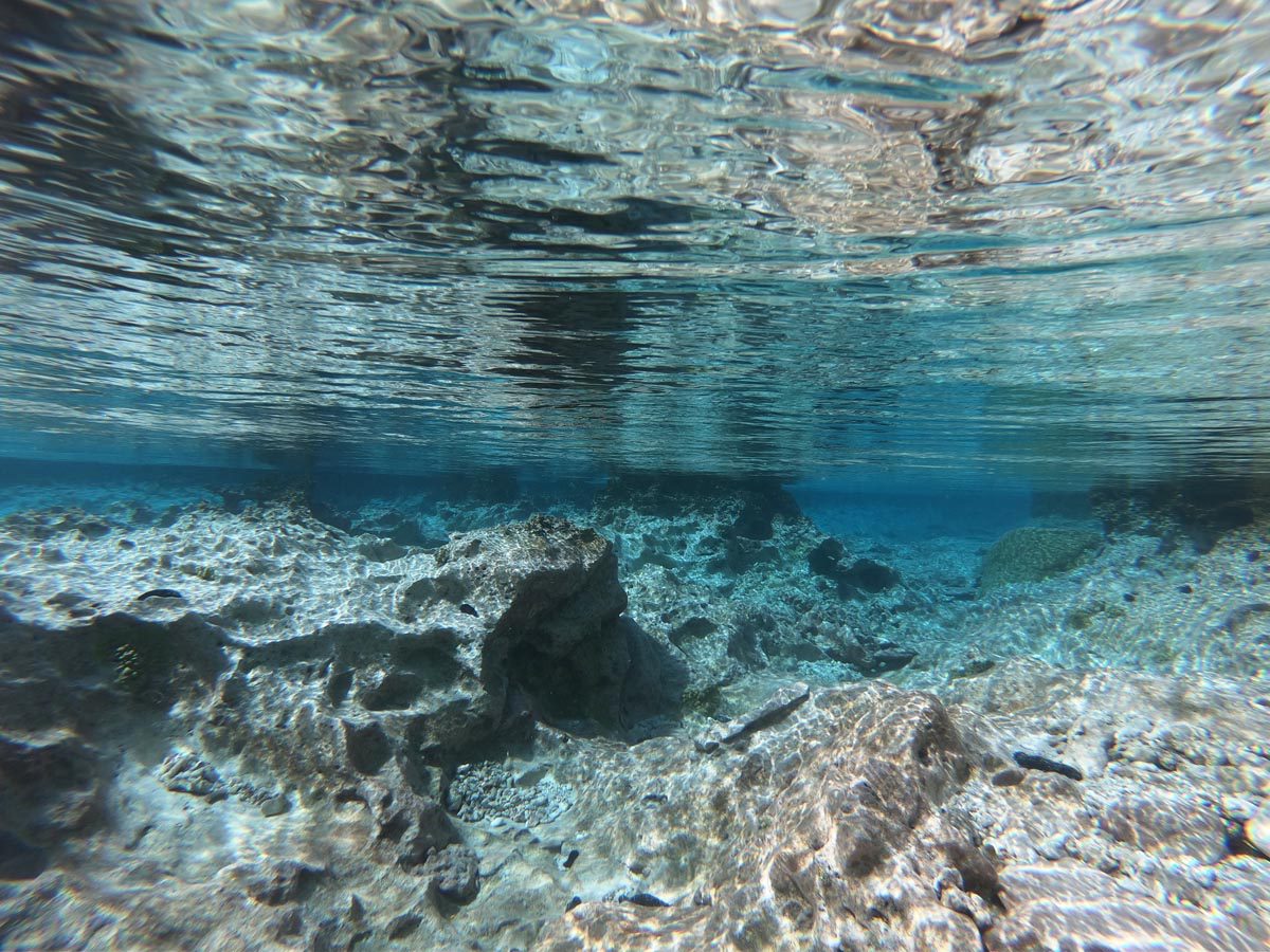 אי האלמוגים - רנגירואה - פולינזיה הצרפתית - מתחת למים