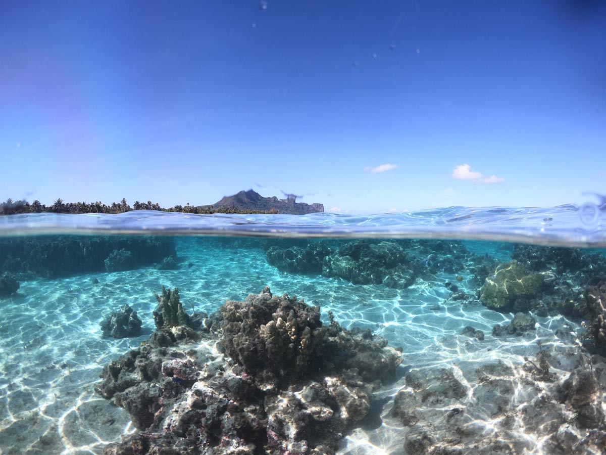 סיור בלגונה של האי מאופיטי - שנורקל בגינת האלמוגים