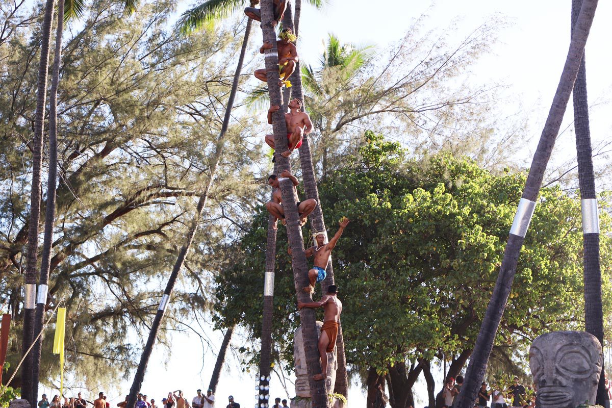 פסטיבל ה-Heiva בטהיטי - פולינזיה הצרפתית - טיפוס עצי קוקוס 4
