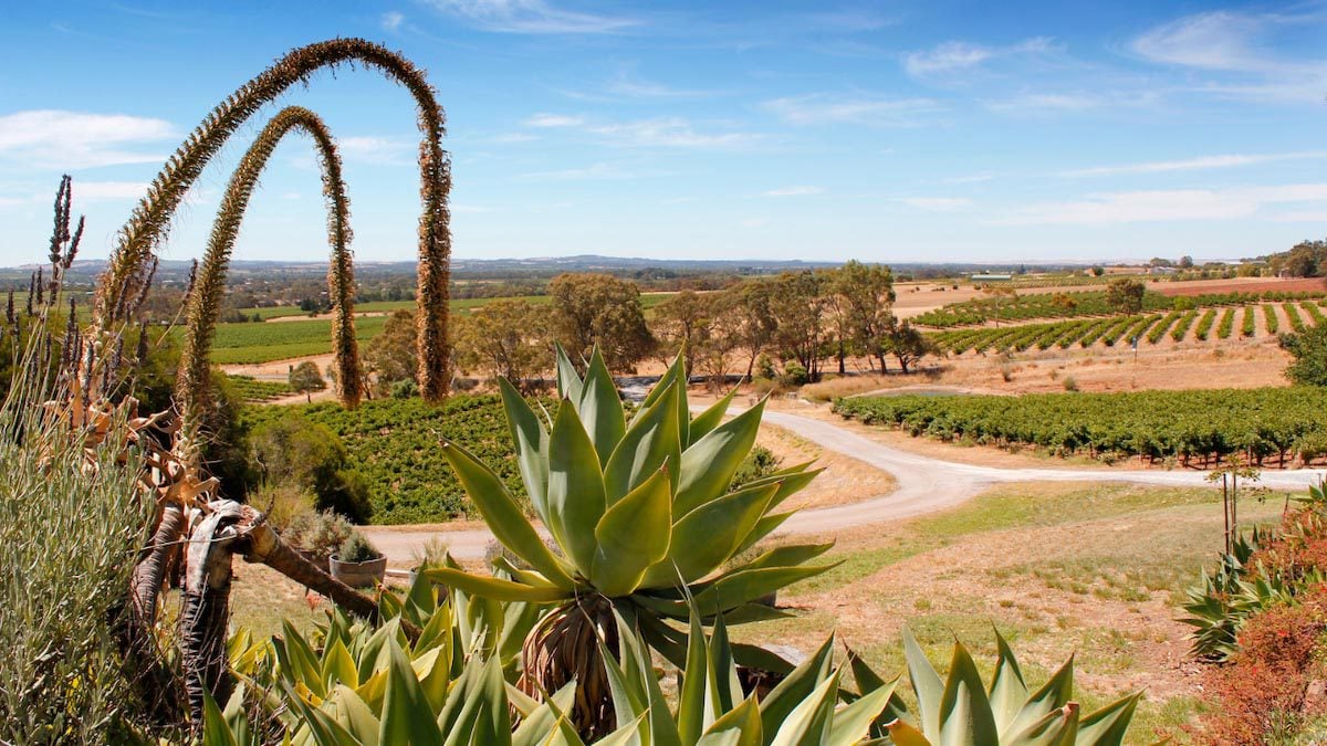 The Best Wine Regions in Australia - Barossa - 3