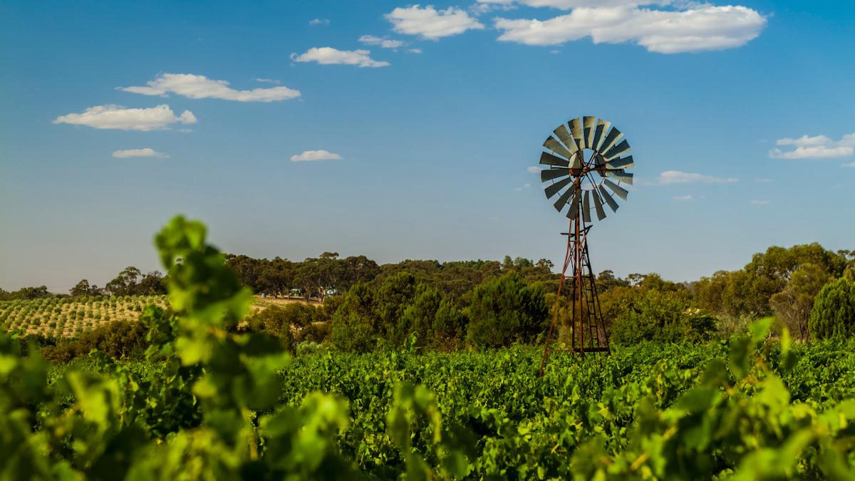 The Best Wine Regions in Australia - Clare Valley - 1