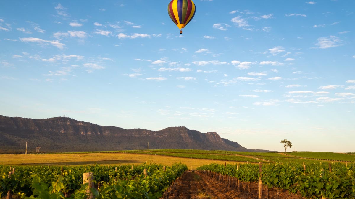 The Best Wine Regions in Australia - Hunter Valley - 1