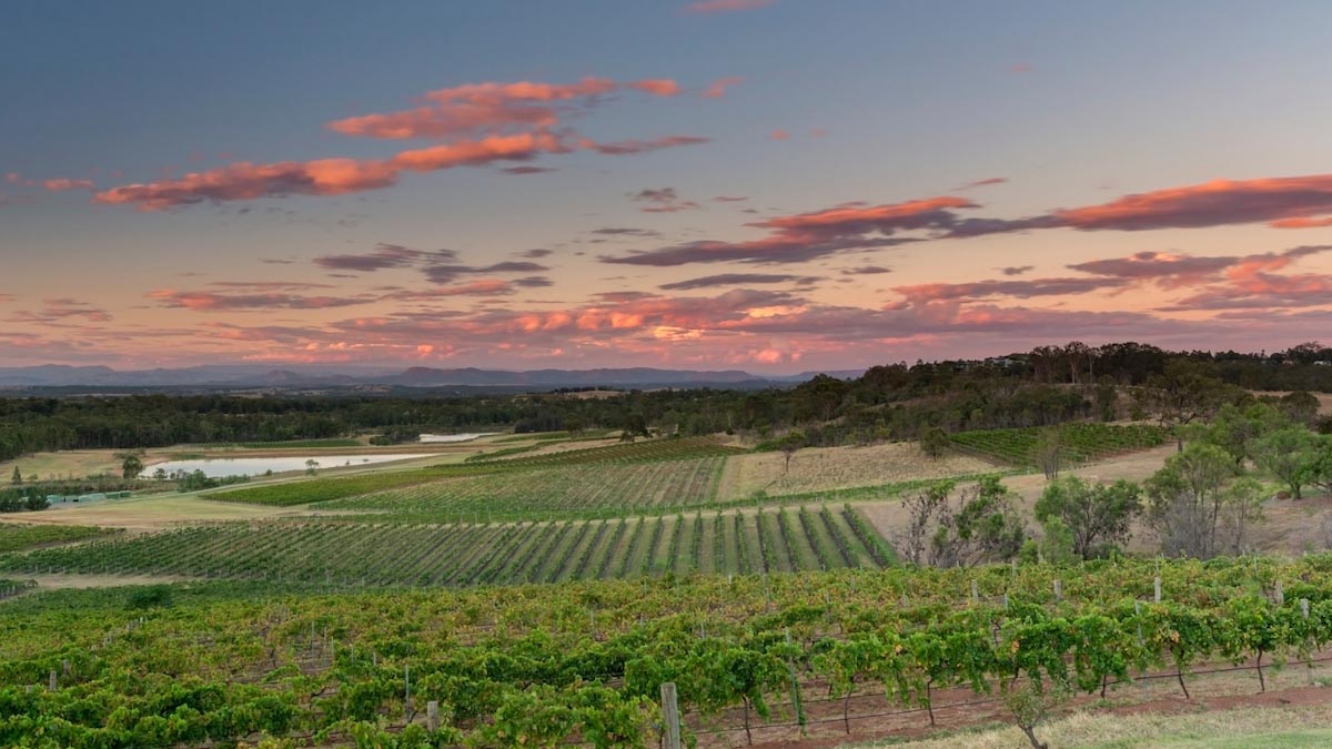 The Best Wine Regions in Australia - Hunter Valley - 3