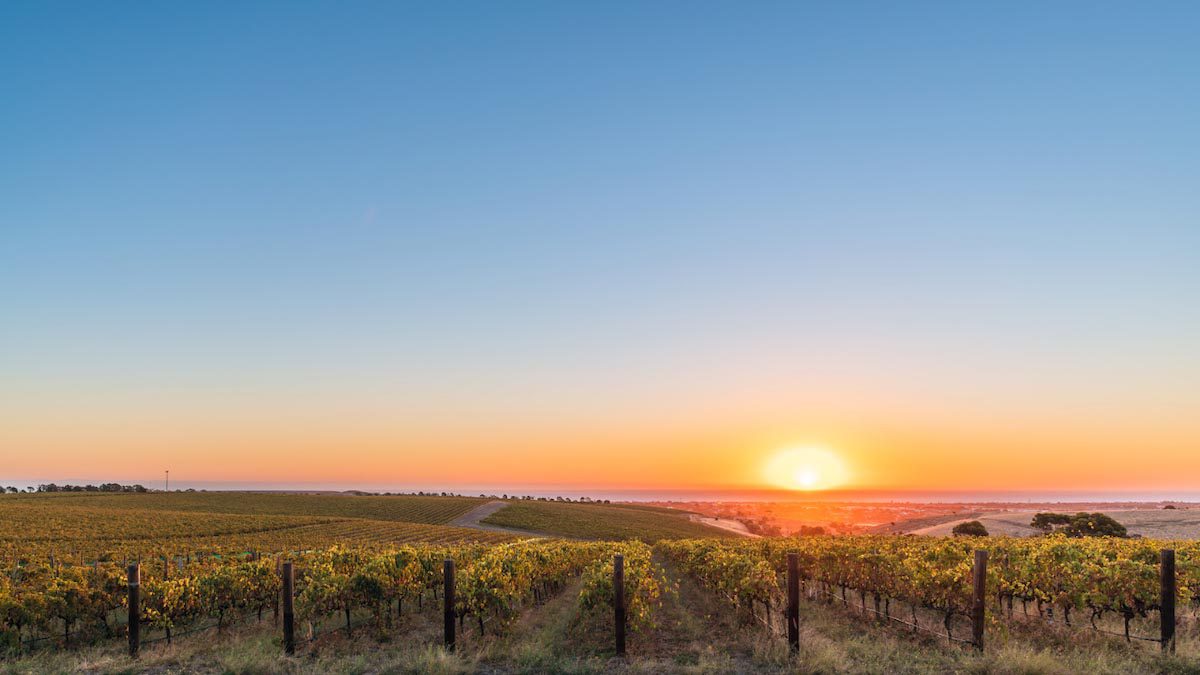 The Best Wine Regions in Australia - Mclaren Vale - 2