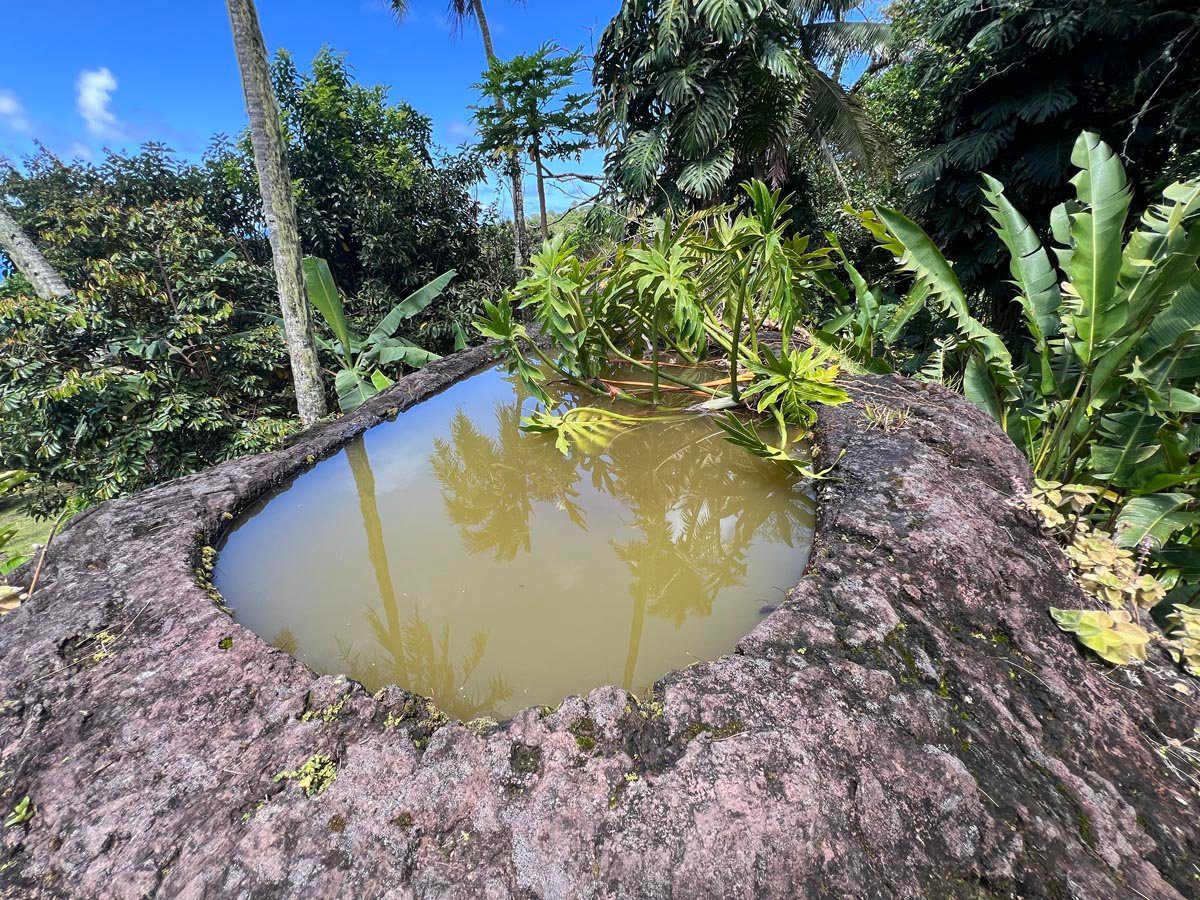 the queens pond in mangareva