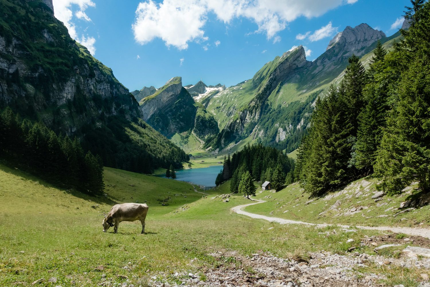 Swiss countryside