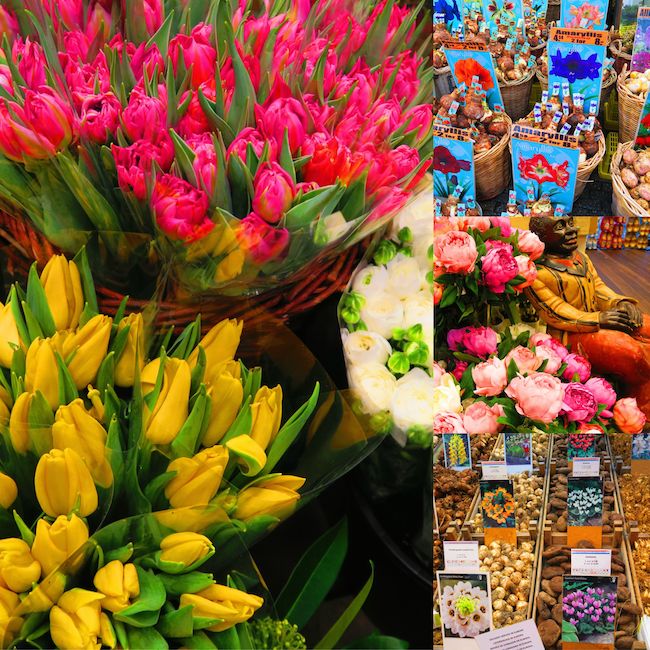 Amsterdam Flower Market