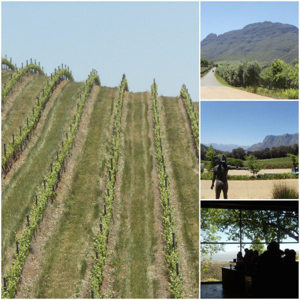 Tokara Stellenbosch