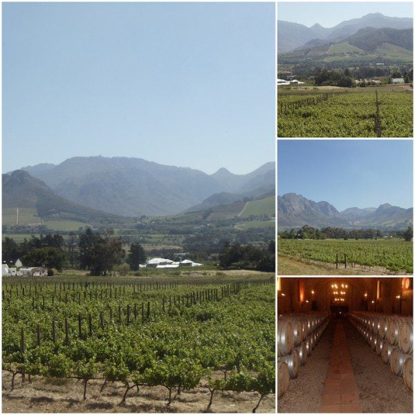 Haute Cabrière Western Cape