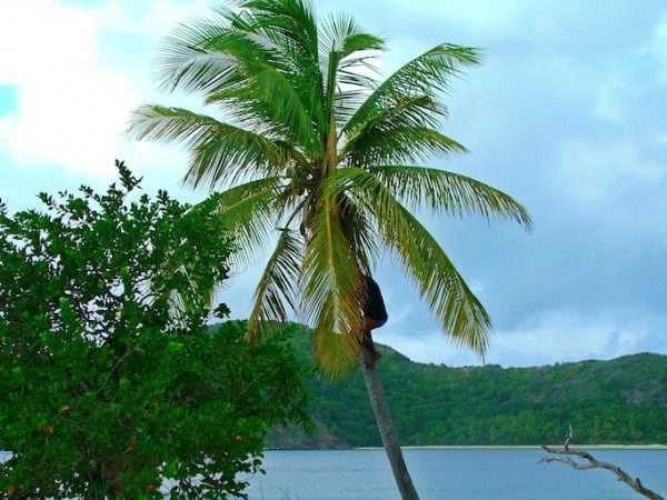 Fiji Beach