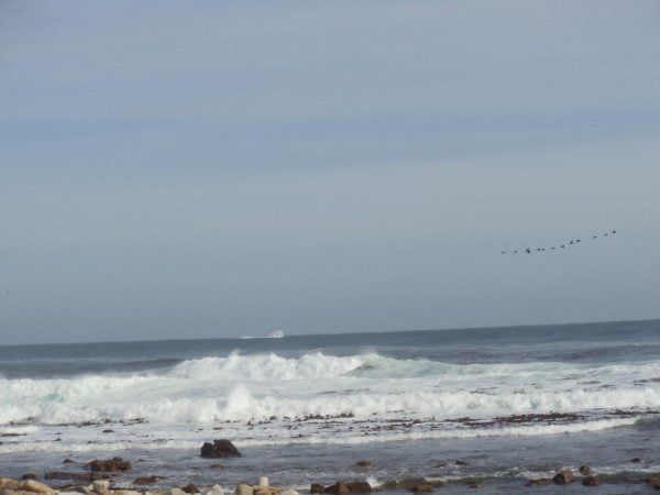 Cape of Good Hope