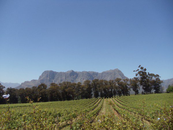 Stellenbosch Western Cape